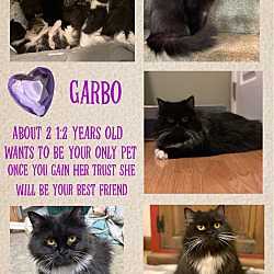 Thumbnail photo of Garbo #4