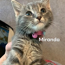 Photo of Miranda