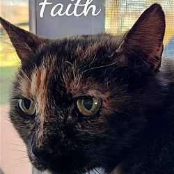 Photo of Faith   special needs