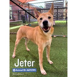 Photo of JETER