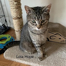 Photo of Lola Hope