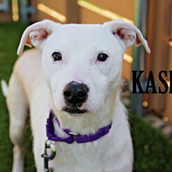 Photo of Kasper