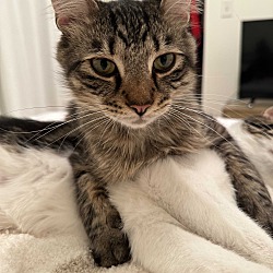 Photo of Thumper