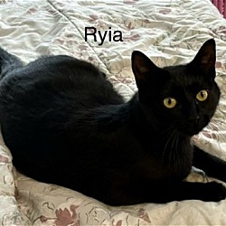Photo of Ryia