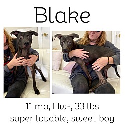 Thumbnail photo of Blake #1