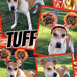 Thumbnail photo of TUFF #2