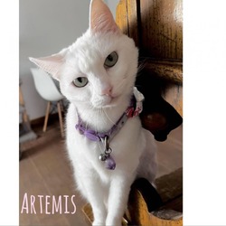 Photo of Mama Artemis