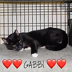 Thumbnail photo of Gabbi #2