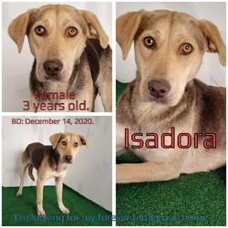Photo of Isadora