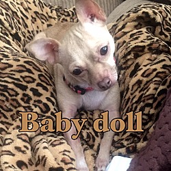 Photo of Baby doll