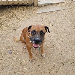 Photo of Lola