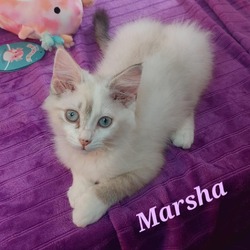 Photo of Marsha