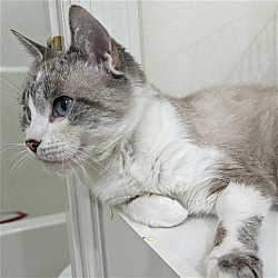 Photo of WONTON