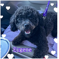 Photo of Eugene