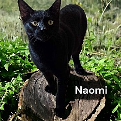Thumbnail photo of Naomi #3