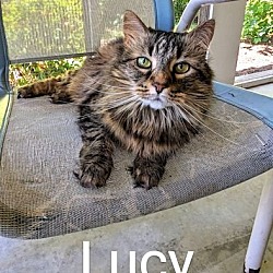 Photo of Lucy