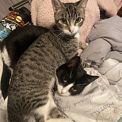 Photo of Birthday and Sweetpea