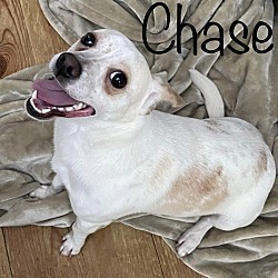 Photo of Chase