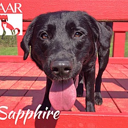 Thumbnail photo of Sapphire #1