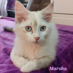 Thumbnail photo of Marsha #2