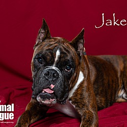 Thumbnail photo of Jake #2