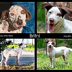 Thumbnail photo of Britni #4