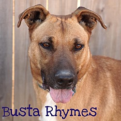 Photo of Busta Rhymes (River)