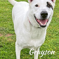 Thumbnail photo of Grayson #4