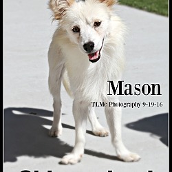 Thumbnail photo of Mason #1