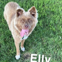 Thumbnail photo of Elly #4