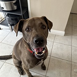 Photo of Mac