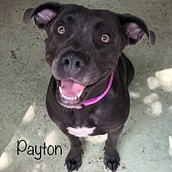 Photo of Payton