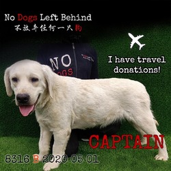 Thumbnail photo of Captain8318 #1