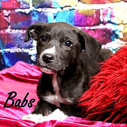 Thumbnail photo of Babs ~ meet me! #1