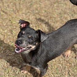 Photo of Squirt
