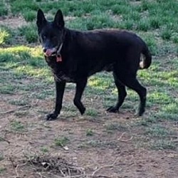 Photo of bently