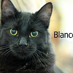 Photo of Blanco