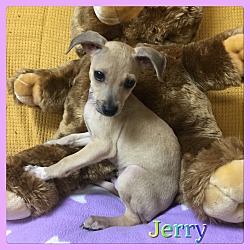 Thumbnail photo of Jerry #2