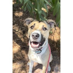 Photo of ATLAS