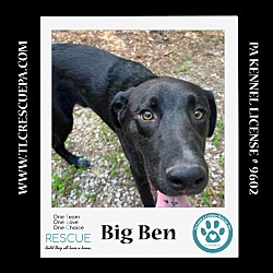 Photo of Big Ben (Cartoon Cuties) 062224