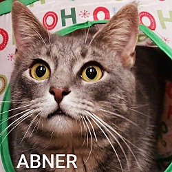 Thumbnail photo of ABNER #2