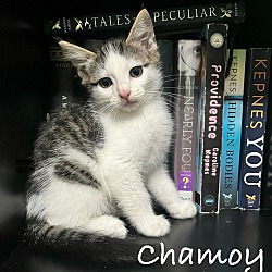Photo of Chamoy