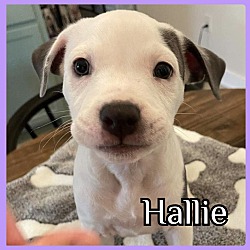Photo of Hallie