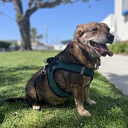 Photo of Jett