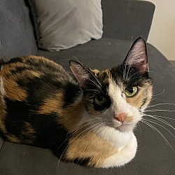 Photo of Lucy