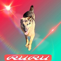 Thumbnail photo of RuRu #4