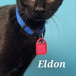 Photo of Eldon