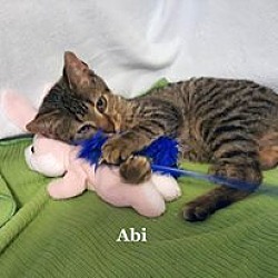Thumbnail photo of Abi #2