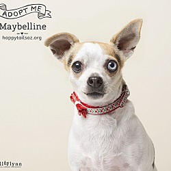 Thumbnail photo of Maybelline #3