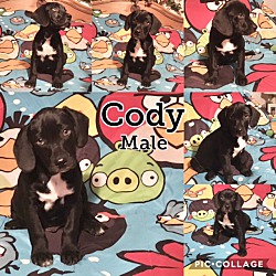 Photo of Cody1